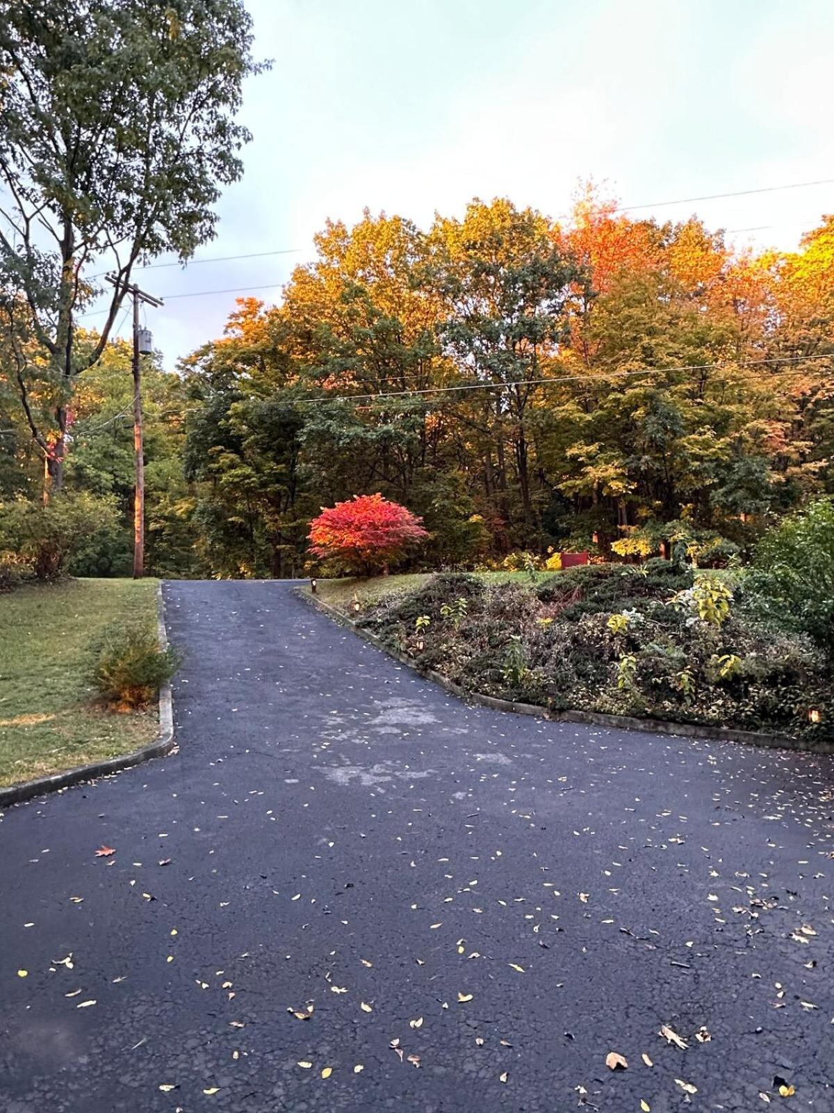 Cayuga Lake Cottage With Private Lake Access Washingtonville Εξωτερικό φωτογραφία